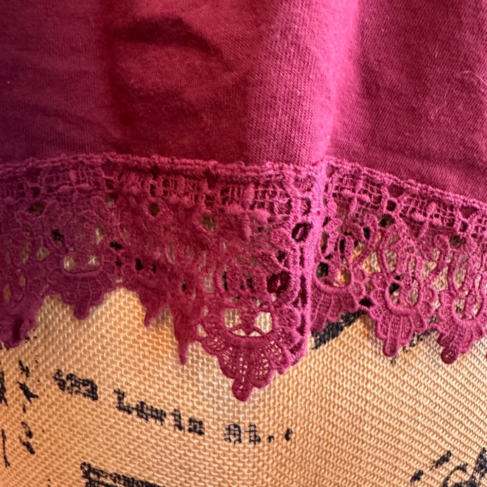 Hollister Burgundy Lace Trim Crop Top Short Sleeve Crew Neck Maroon Womens M - Picture 3 of 4